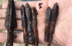 新疆沙漠首次发现盐水丰年虾