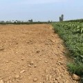 男子租25亩耕地盗挖8400吨膨润土