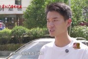 古树砸扁宝马 林业局：车主也有错