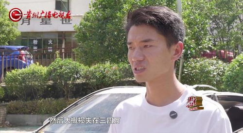 古树砸扁宝马 林业局：车主也有错