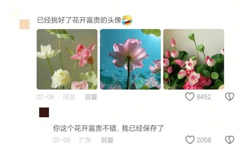 小时候以为大人不爱零食是“装”的