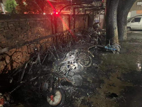9月1日起骑“小电驴”要留意新规