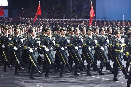 唐湘龙评阅兵新装备